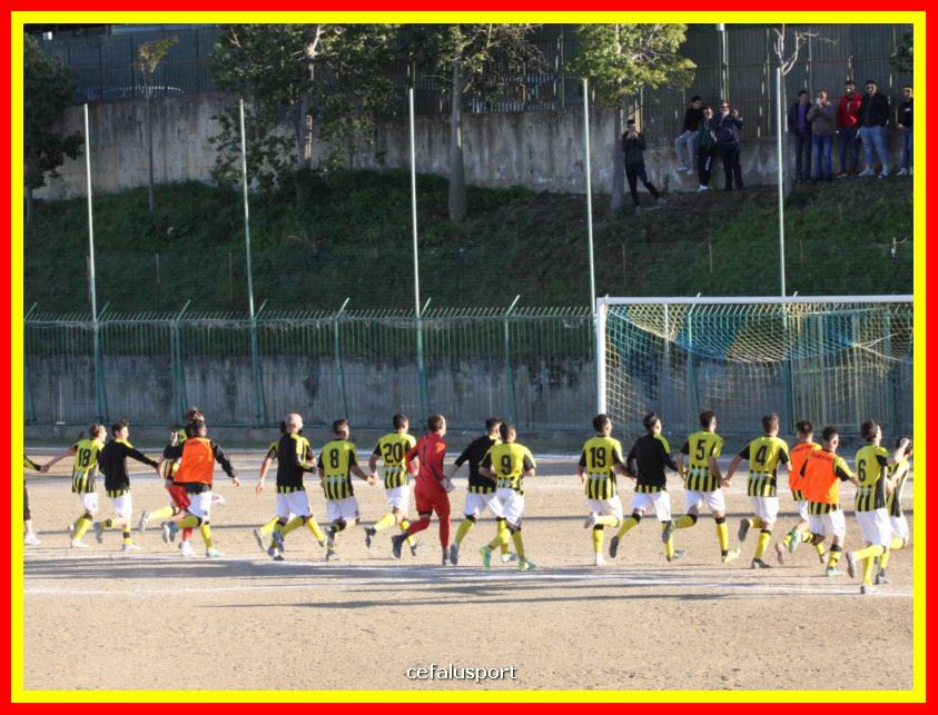 190310 Cephal_Torrenov 219_tn.jpg